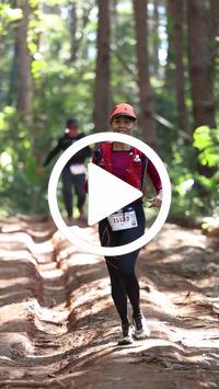 BIB:  <button type="button" onclick="openModal(26569504)" class="btn btn-primary btn-sm float-right" data-toggle="modal" data-target=".modal-high-quality">
                <i class="fa fa-download"></i> Download
                </button>